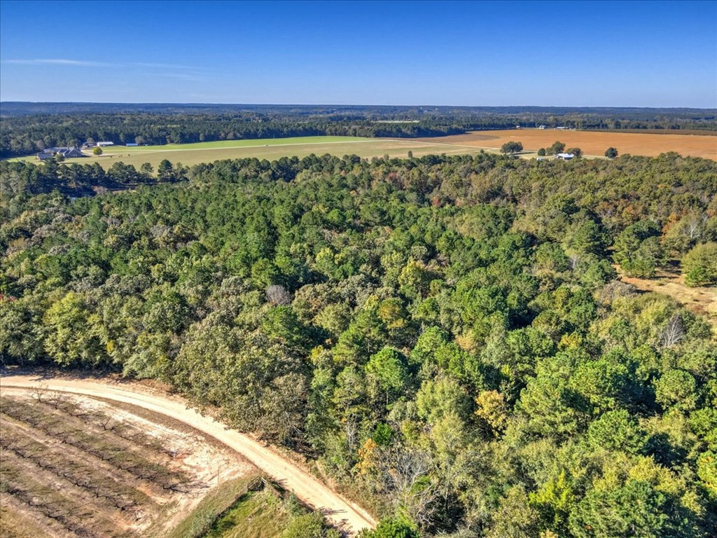 0 Broomstraw Road Johnston, SC 29832 - Photo 17 of 22