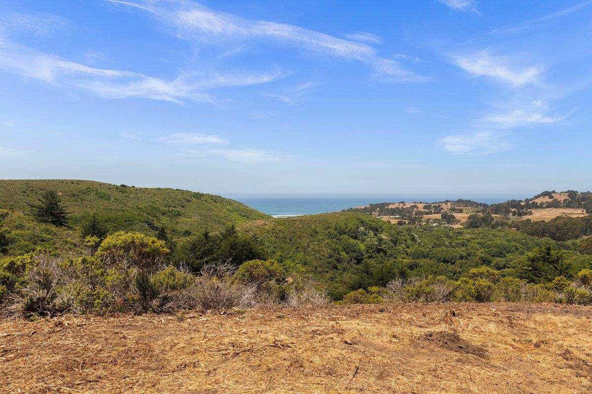 0 Stage Road San Gregorio, CA 94074 - Photo 8 of 48 a view of a yard with a mountain