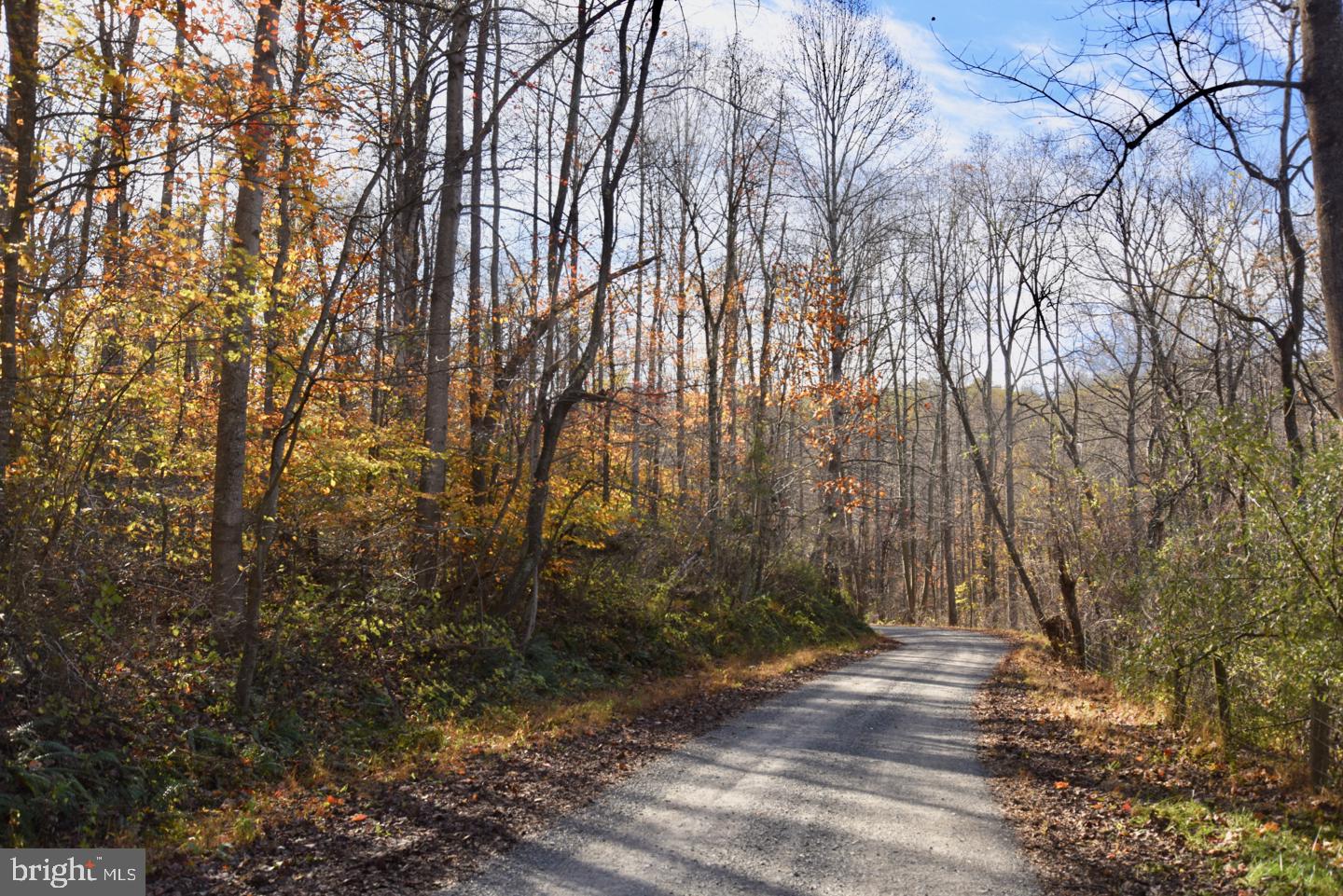 0 Bessie Bell Mountain Road Castleton, VA 22716 - Photo 2 of 14 Bessie Belle Mountain Road