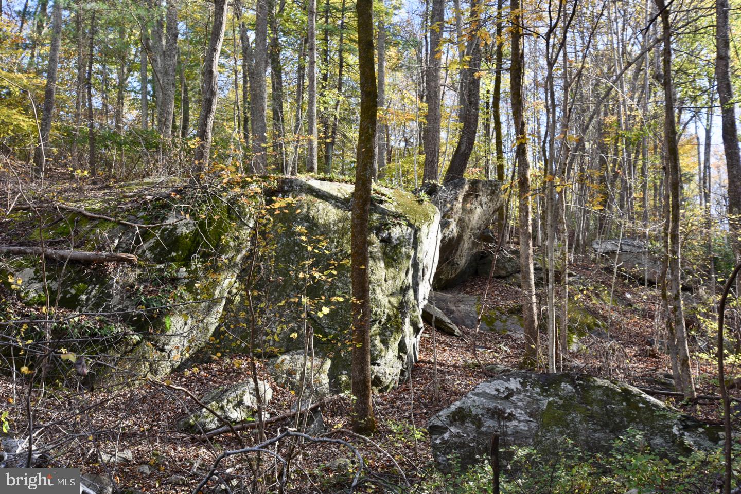 0 Bessie Bell Mountain Road Castleton, VA 22716 - Photo 14 of 14 Wall of Rocks