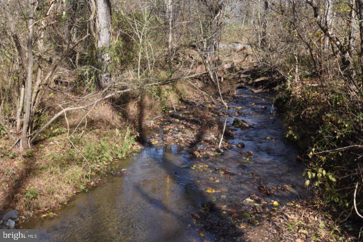 0 Bessie Bell Mountain Road Castleton, VA 22716 - Photo 3 of 14 Mill Run