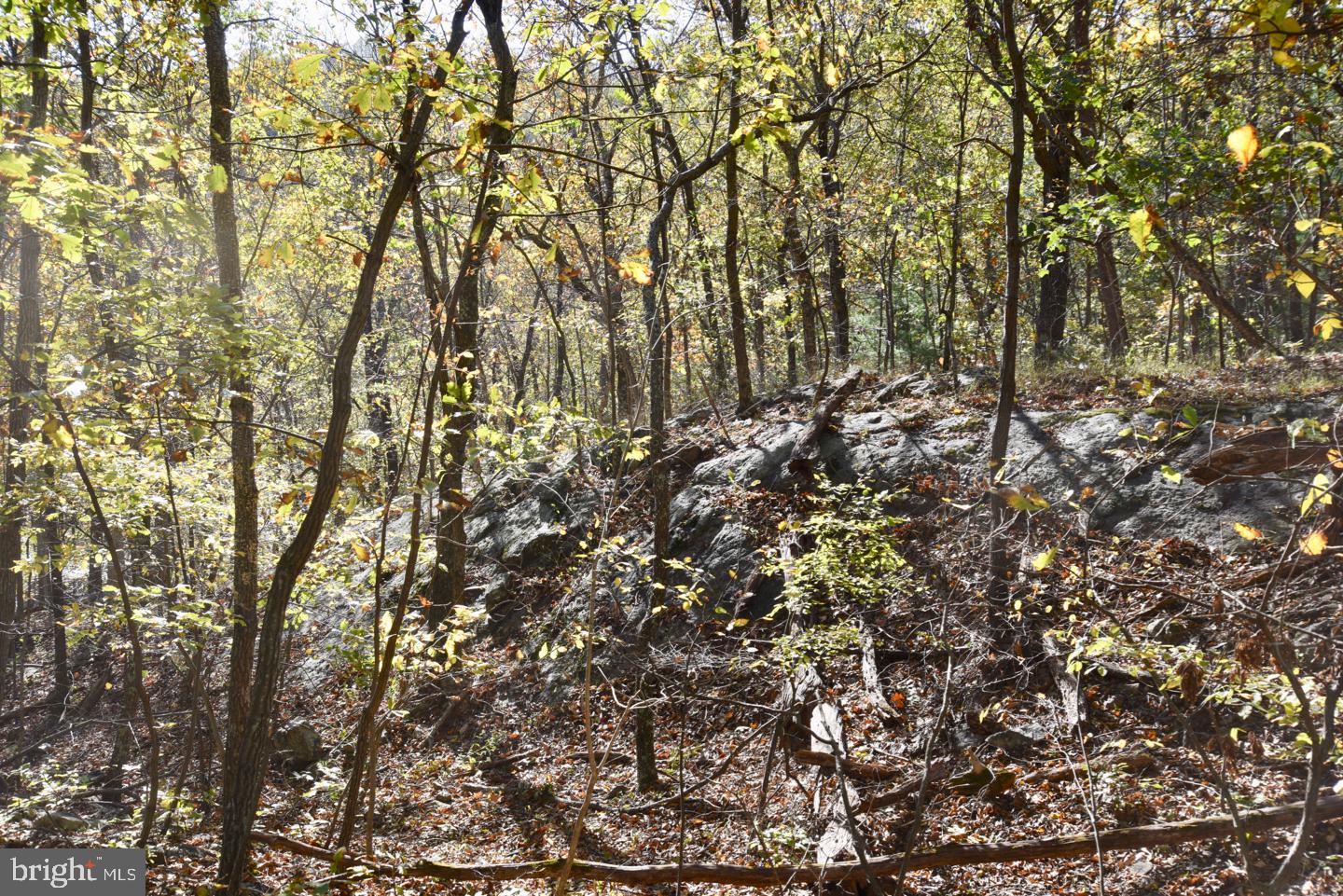 0 Bessie Bell Mountain Road Castleton, VA 22716 - Photo 9 of 14 Many Rock Outcroppings