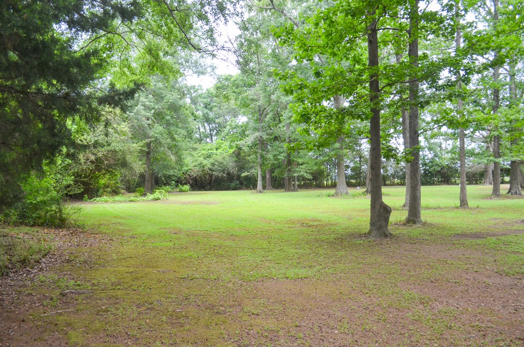 225 Royce Lane Dothan, AL 36305 - Photo 24 of 31