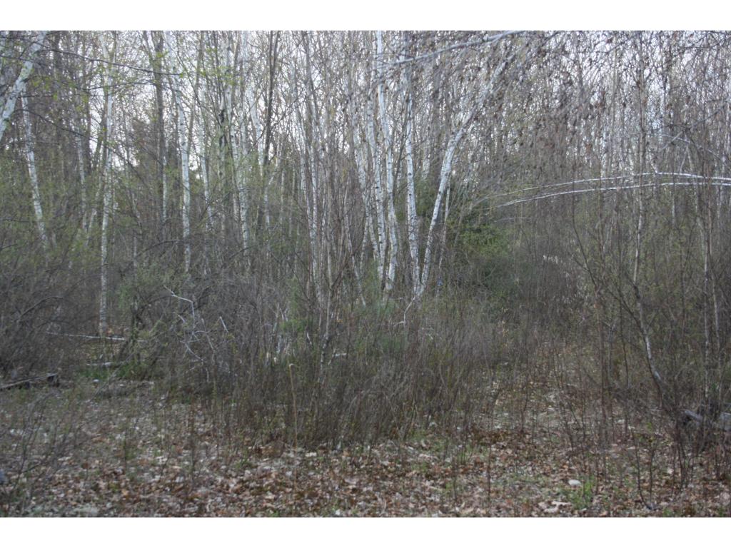 Lot 122-1 Healy Road Candia, NH 03034 - Photo 8 of 11 Gallery Image 8