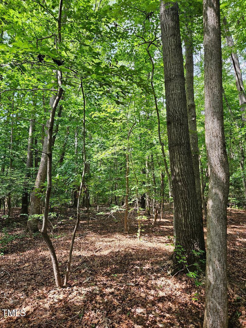 100 Reeder Road Seagrove, NC 27341 - Photo 2 of 6 a backyard of a house with lots of green space