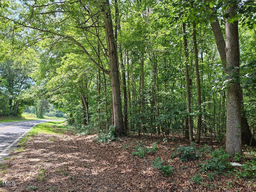 100 Reeder Road Seagrove, NC 27341 - Photo 6 of 6 a big yard with lots of green space and trees