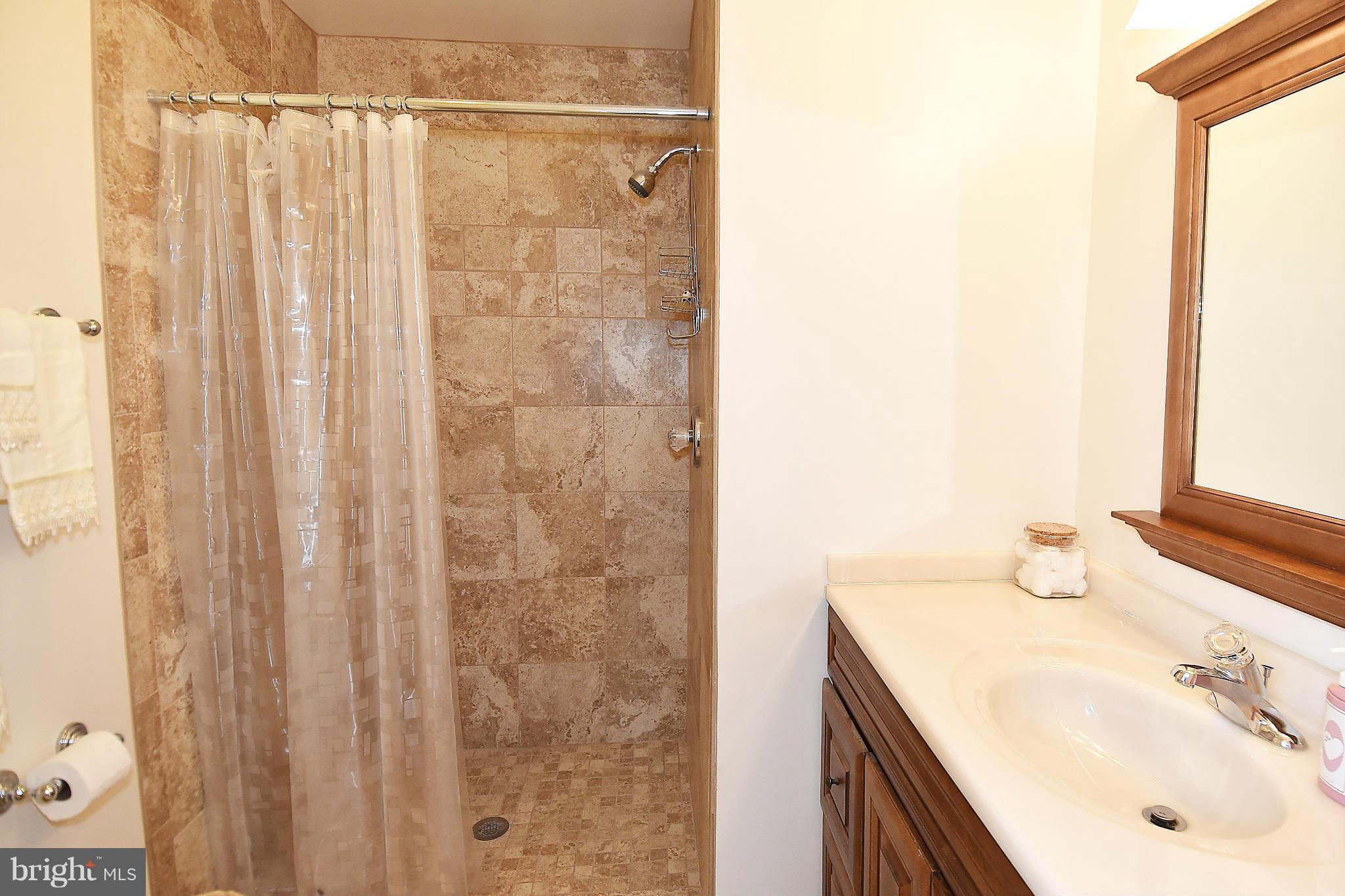 6814 Field Master Drive Springfield, VA 22153 - Photo 17 of 29 Bath (Master)