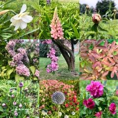 174 Black Point Road Scarborough, ME 04074 - Photo 18 of 18 18-Blk Pt. Gardens