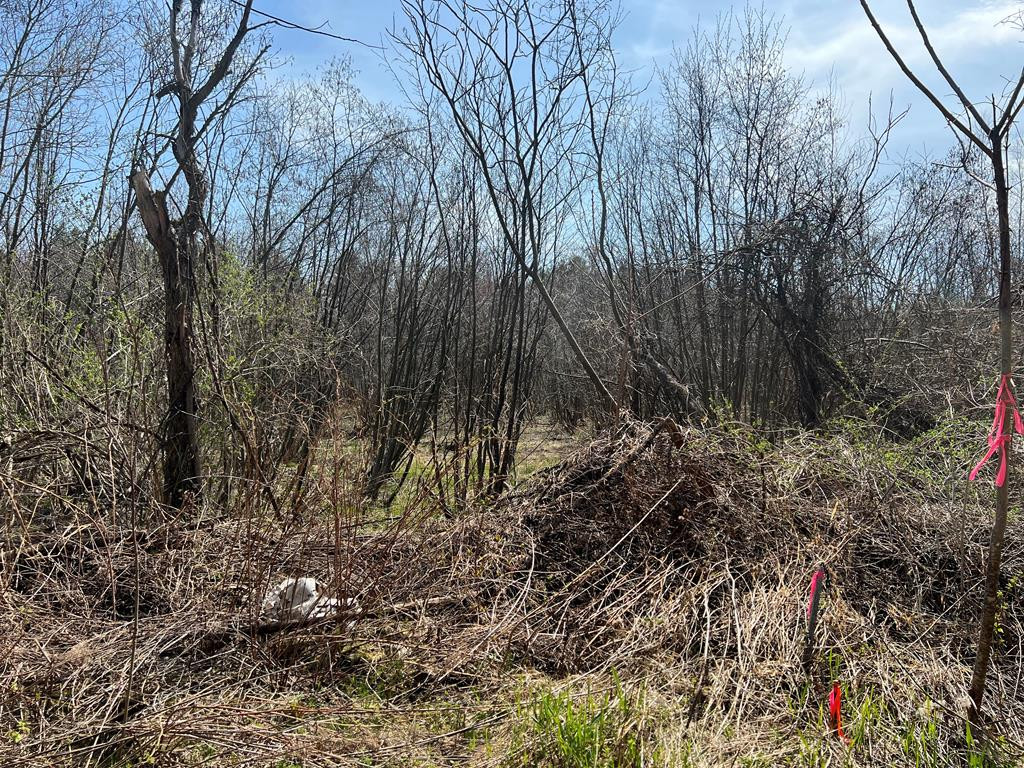 0 Mayott Road Altona, NY 12910 - Photo 8 of 15 Gallery Image 8