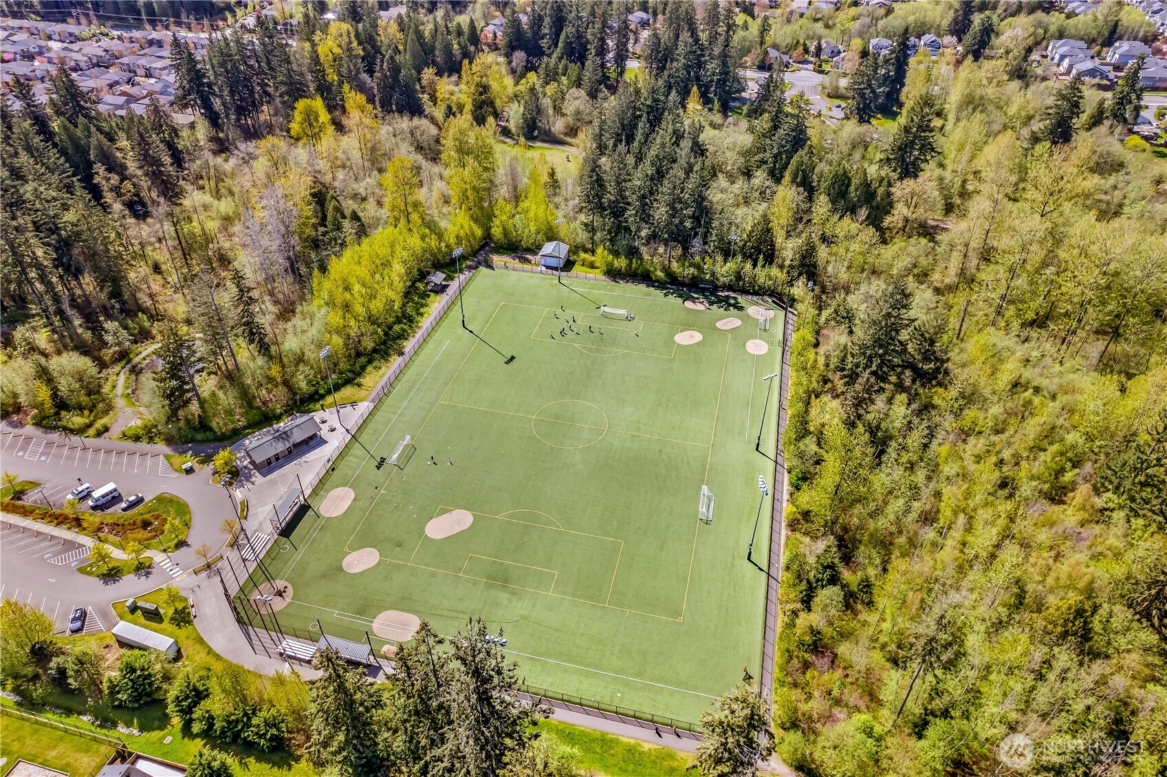17712 39th Drive Southeast Bothell, WA 98012 - Photo 39 of 40 a view of a tree with a plant
