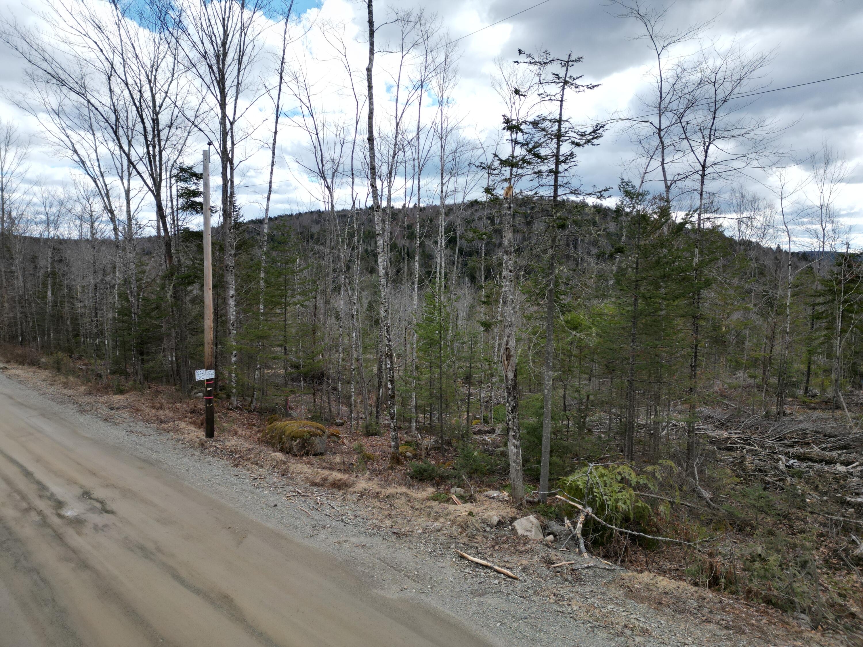 590 Arab Road Lee, ME 04455 - Photo 9 of 14 DJI_0910