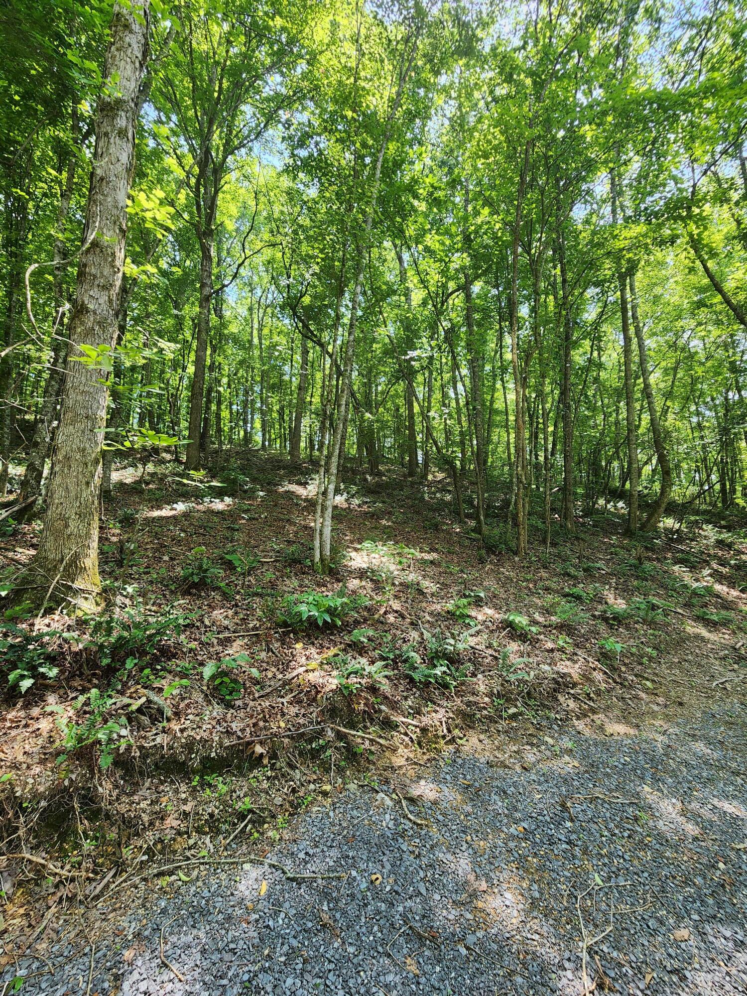 4622 Parker Loop Road Birchwood, TN 37308 - Photo 16 of 26 1000036107