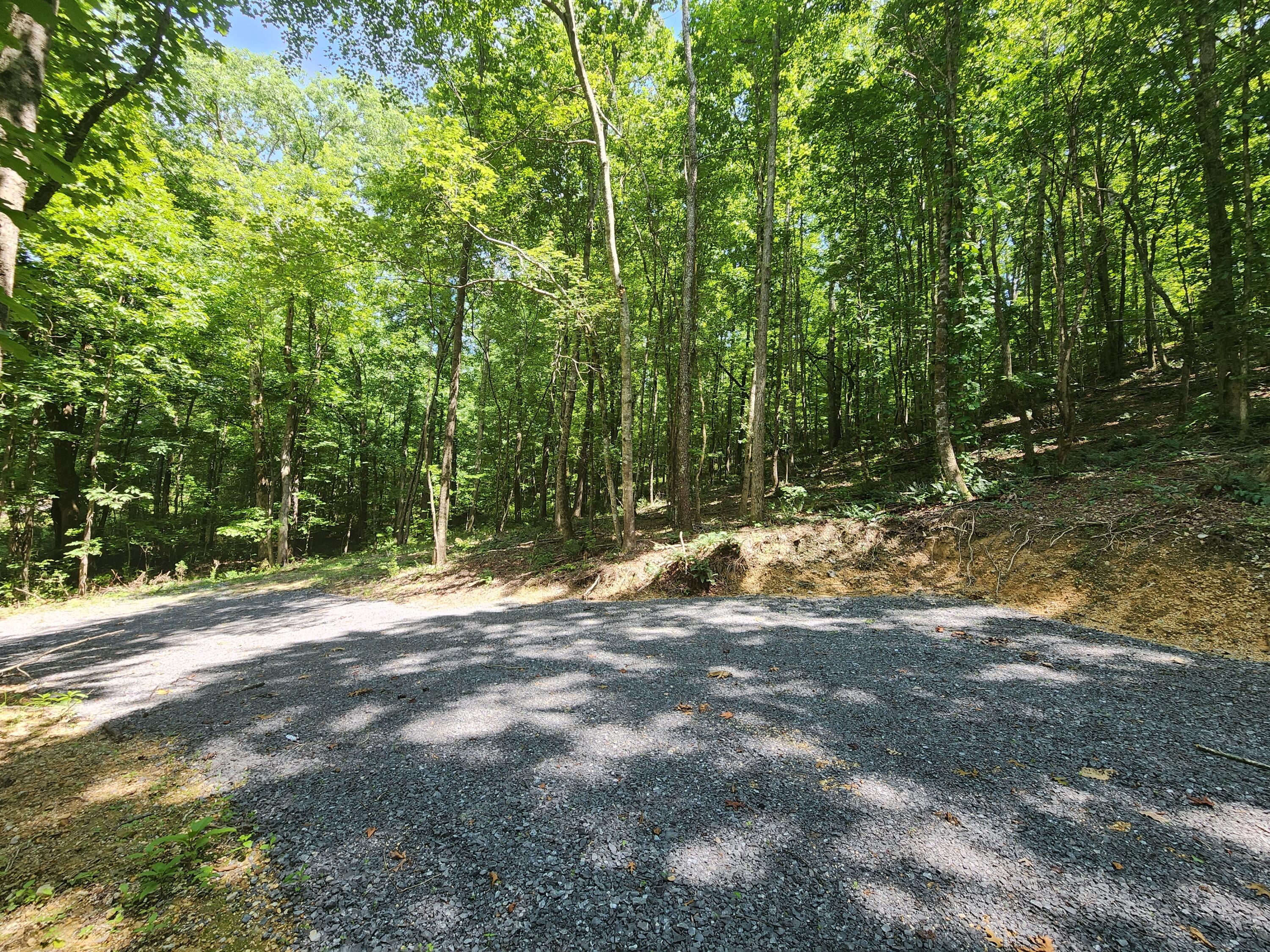 4622 Parker Loop Road Birchwood, TN 37308 - Photo 17 of 26 1000036104
