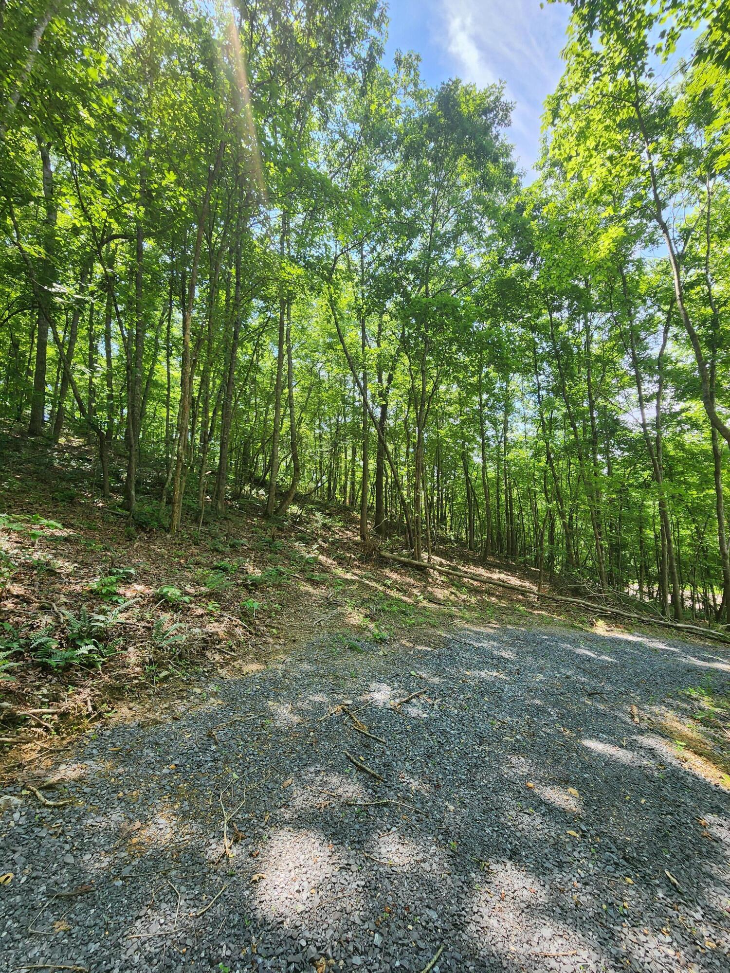4622 Parker Loop Road Birchwood, TN 37308 - Photo 19 of 26 1000036106
