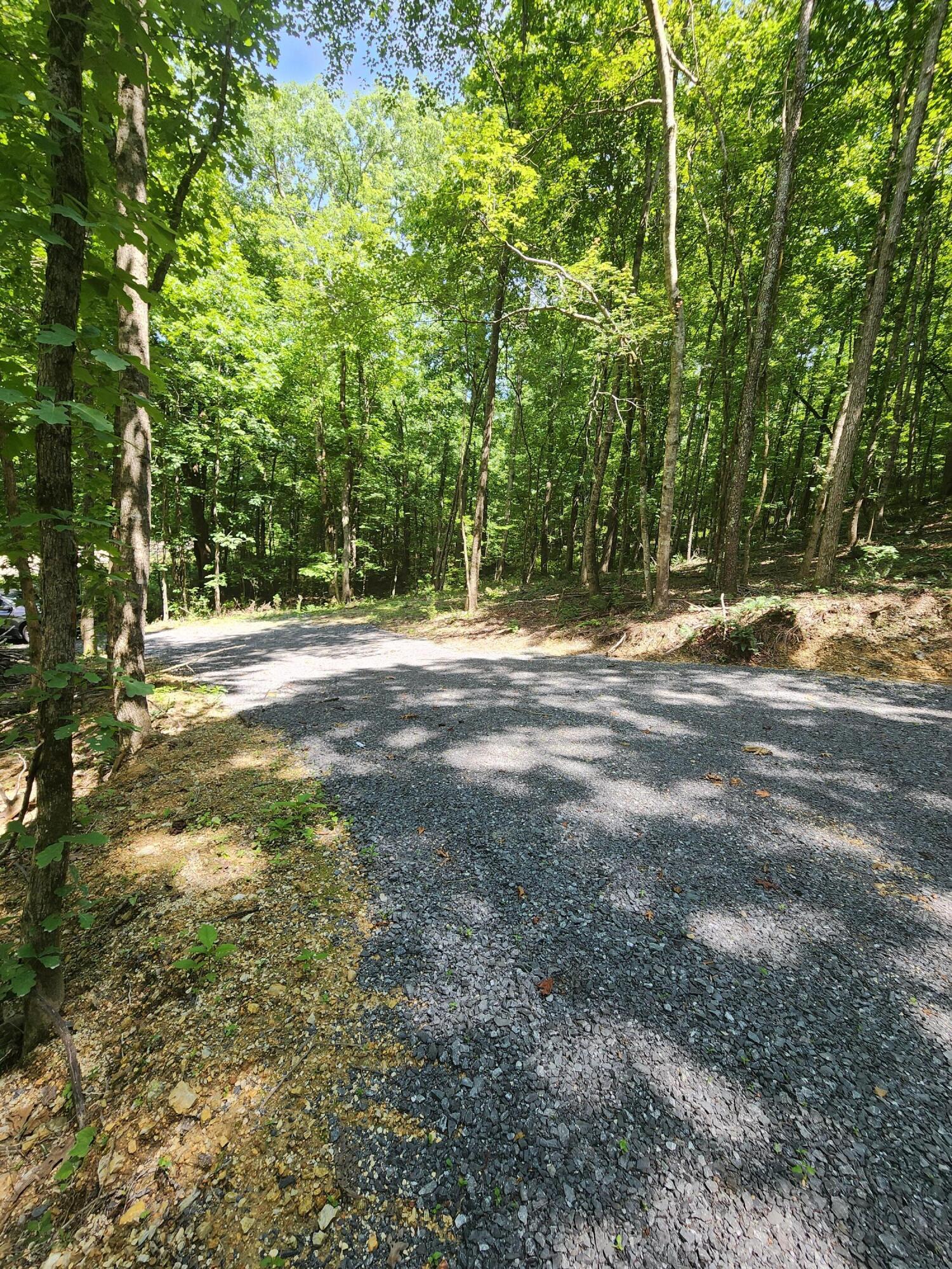 4622 Parker Loop Road Birchwood, TN 37308 - Photo 20 of 26 1000036103