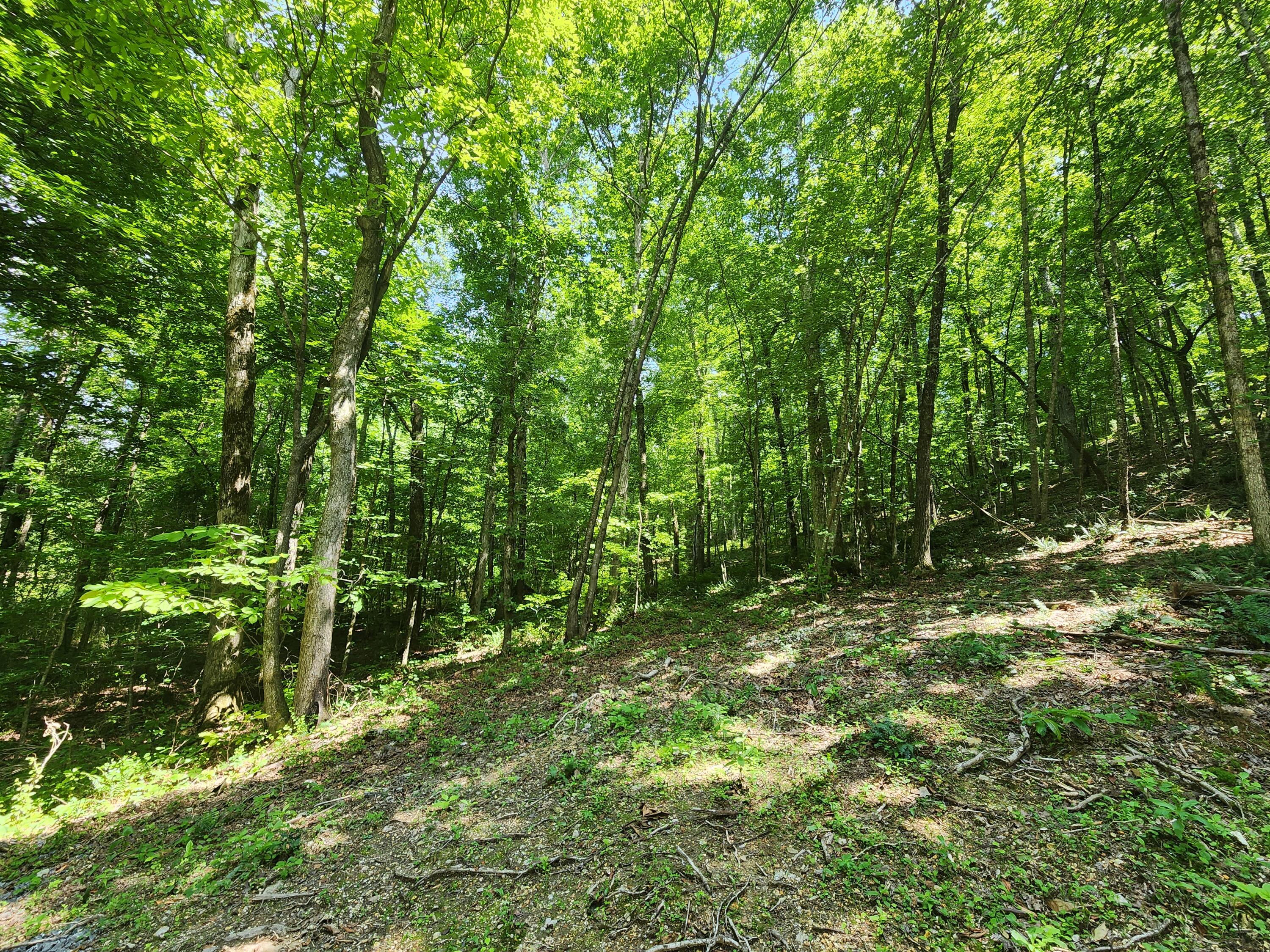 4622 Parker Loop Road Birchwood, TN 37308 - Photo 23 of 26 1000036098