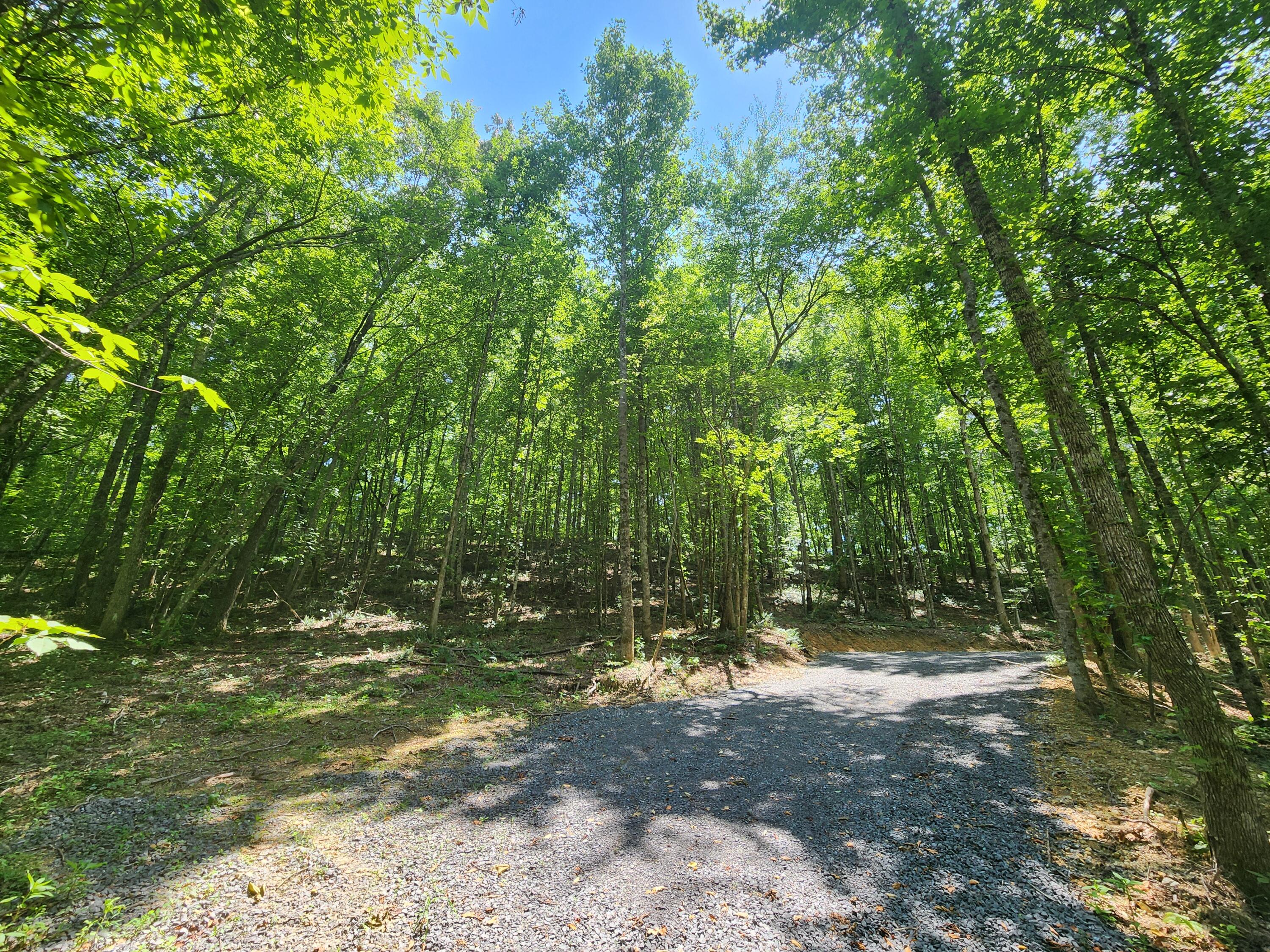 4622 Parker Loop Road Birchwood, TN 37308 - Photo 26 of 26 1000036097