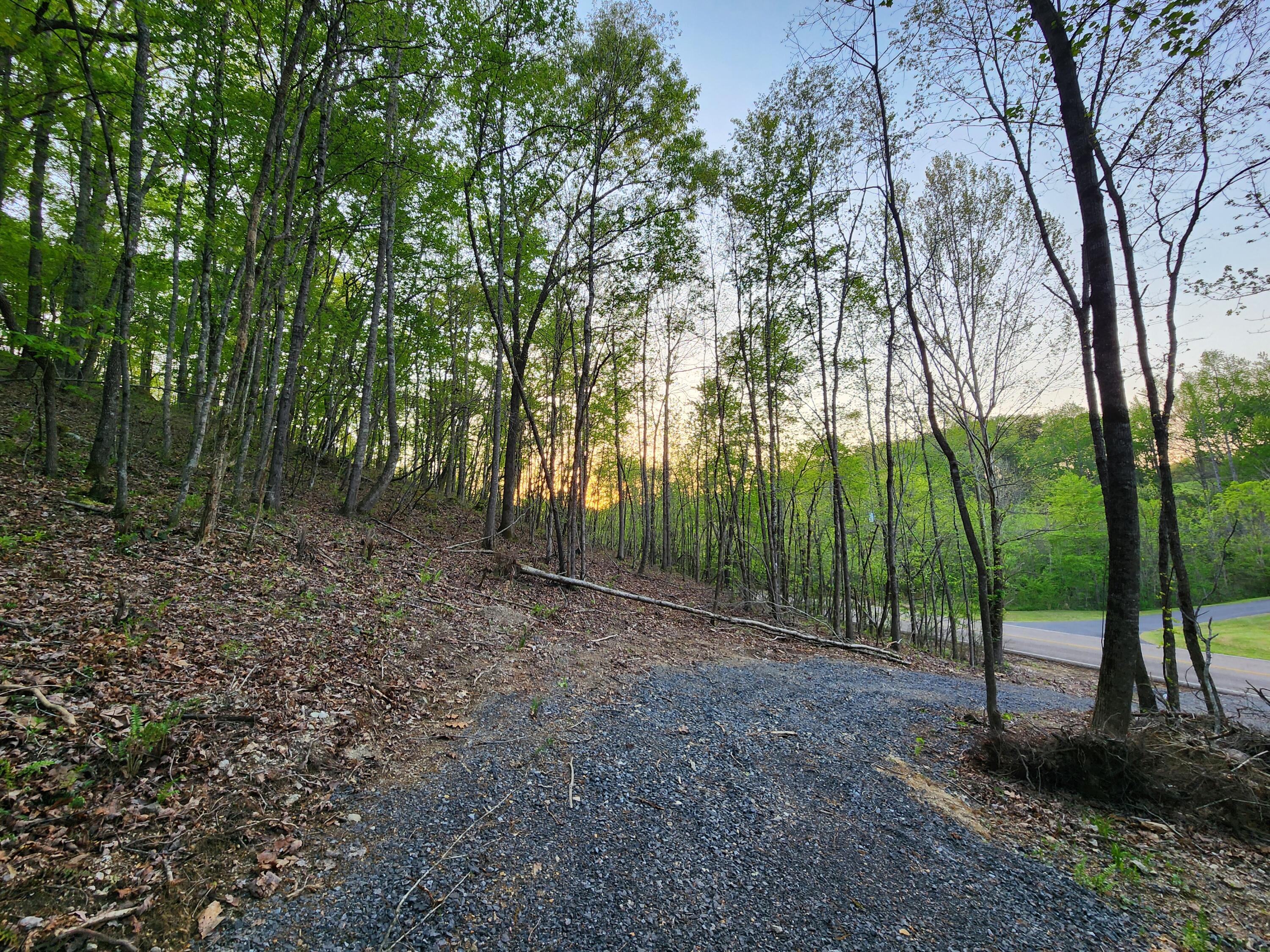 4622 Parker Loop Road Birchwood, TN 37308 - Photo 10 of 26 1000032460