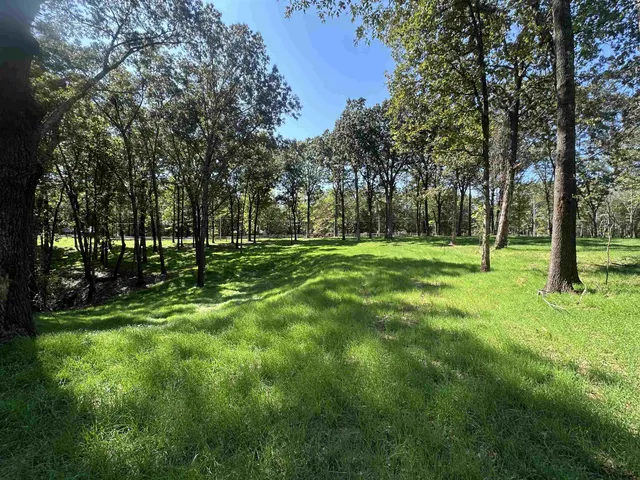 a big yard with lots of green space and trees