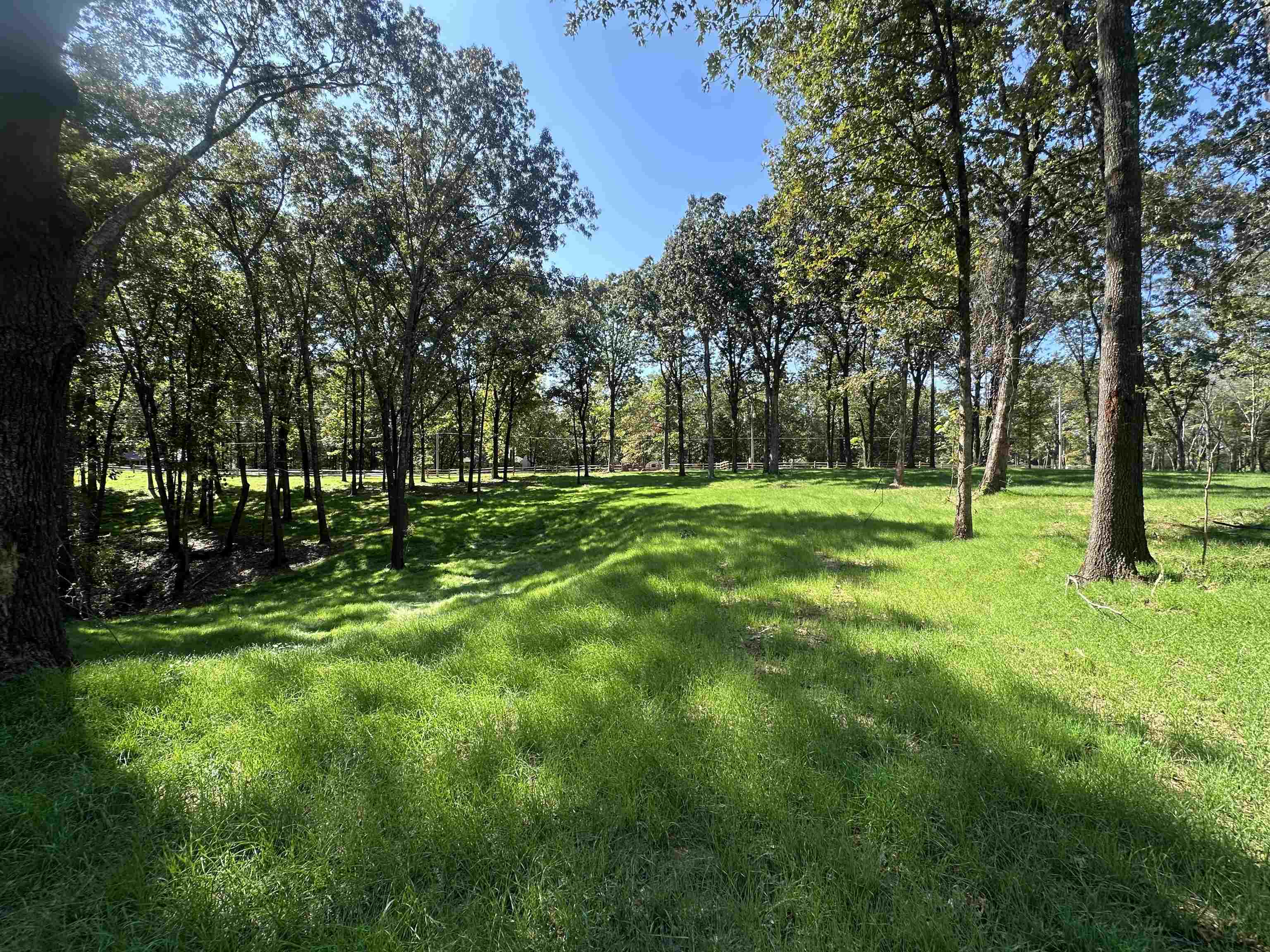 3 Dogwood Road Somerville, TN 38068 - Photo 2 of 8 a big yard with lots of green space and trees