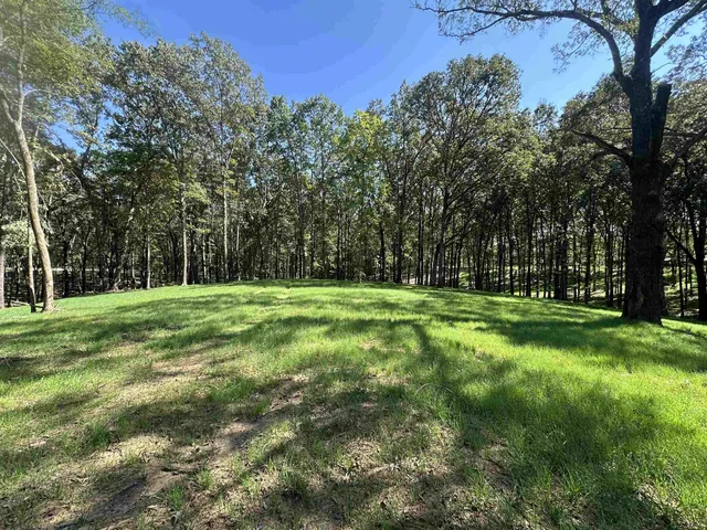 a view of green field with trees in the background