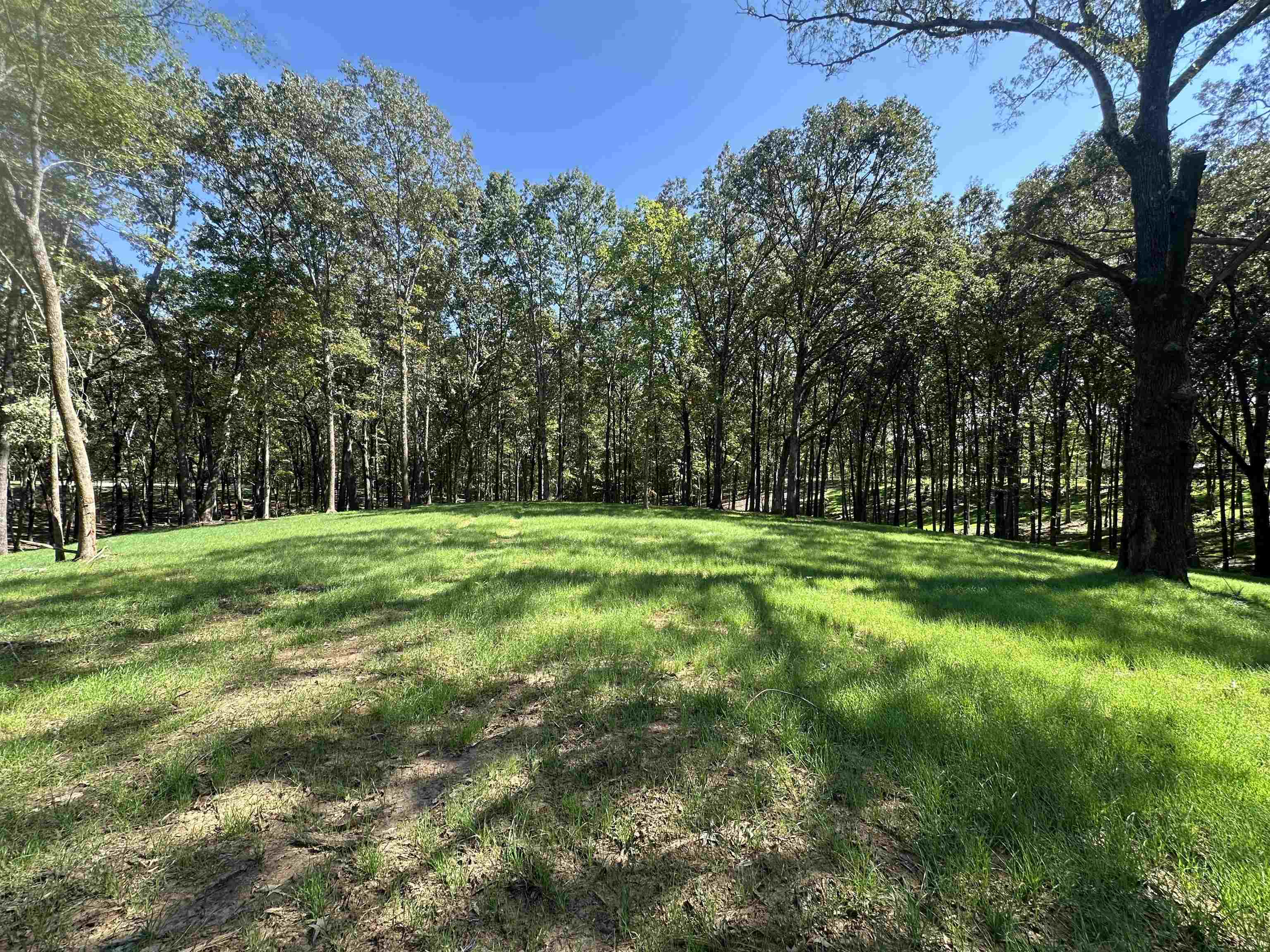 3 Dogwood Road Somerville, TN 38068 - Photo 3 of 8 a view of green field with trees in the background