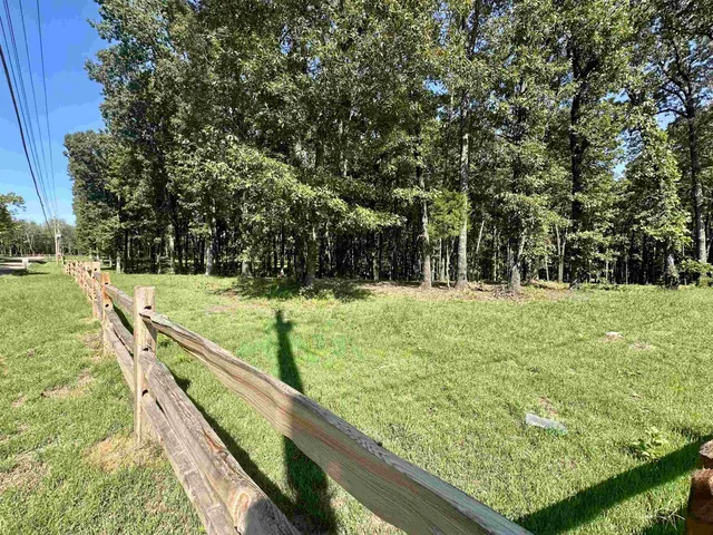 a view of a yard with large trees