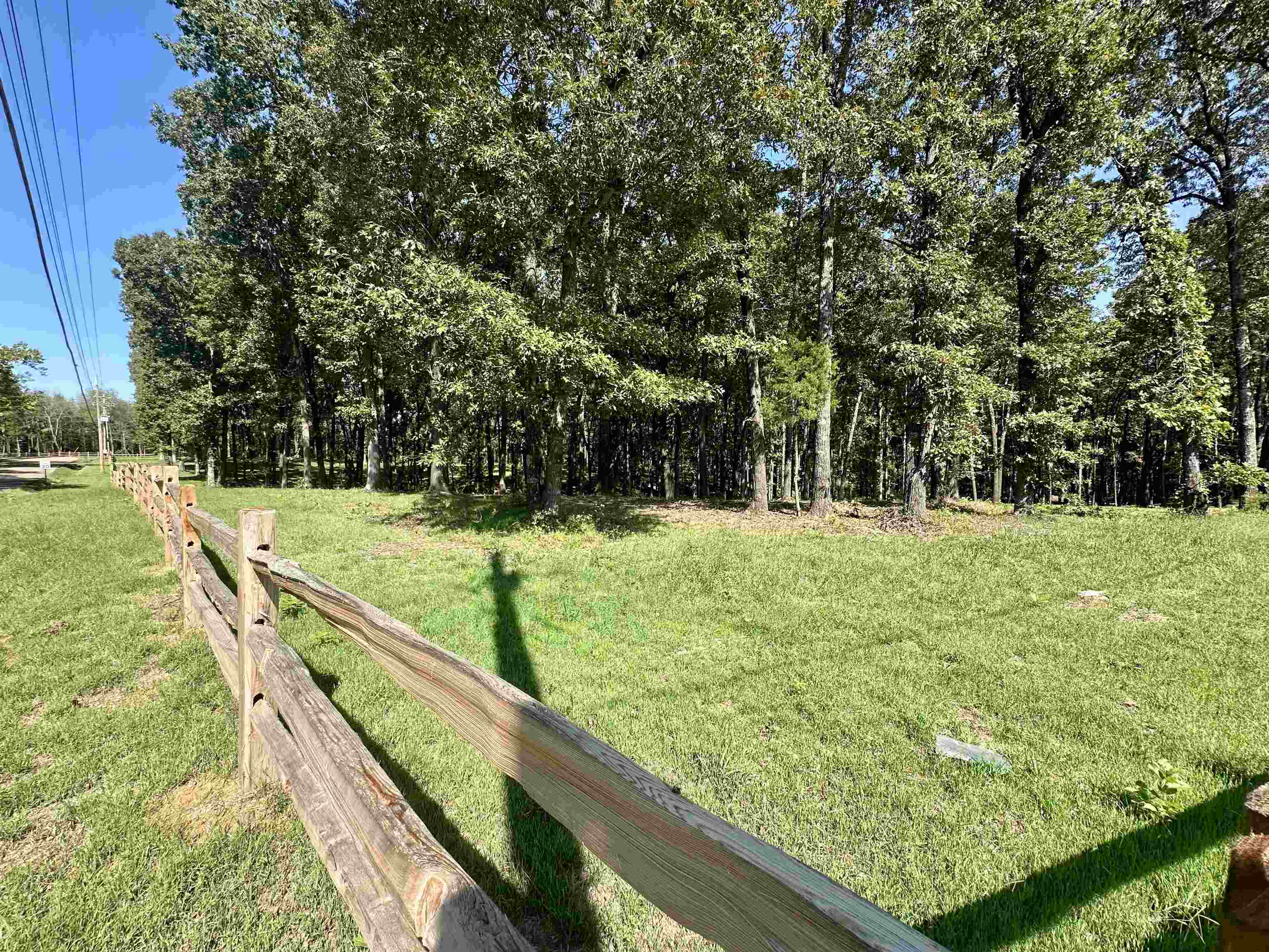 3 Dogwood Road Somerville, TN 38068 - Photo 4 of 8 a view of a yard with large trees
