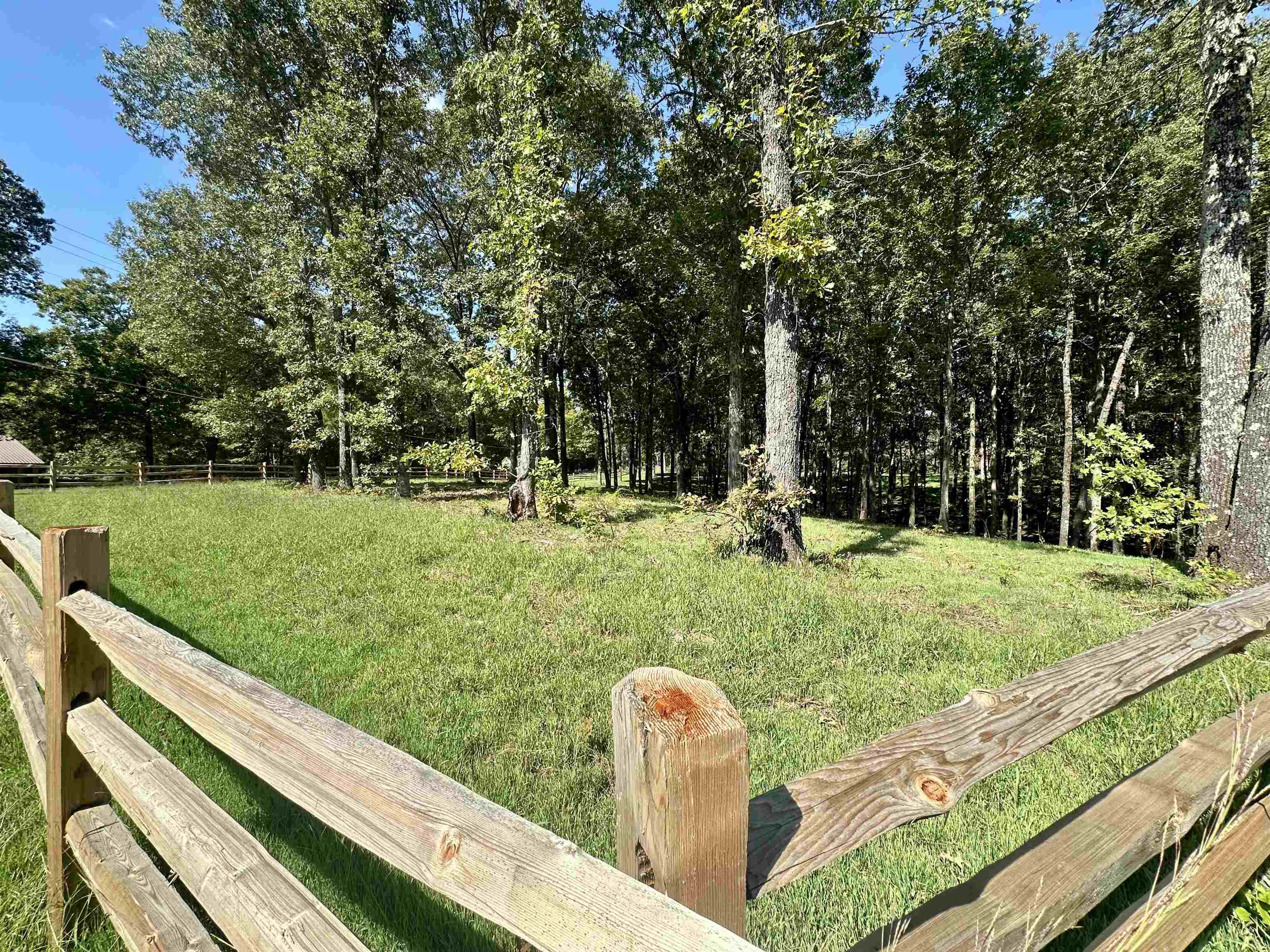 3 Dogwood Road Somerville, TN 38068 - Photo 5 of 8 a backyard of a house with lots of green space