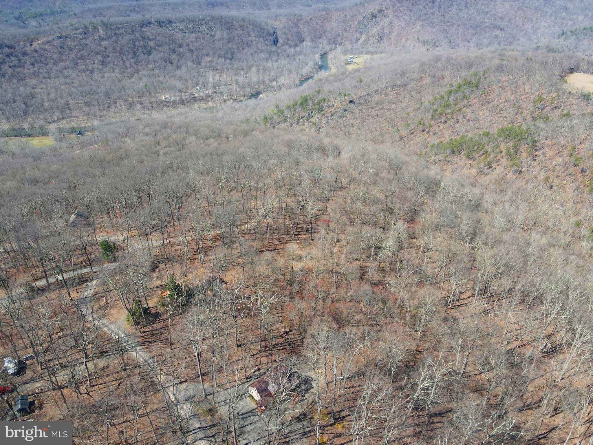 671 Razorback Ridge Road Great Cacapon, WV 25422 - Photo 31 of 35 View looking northwest towards the Cacapon River