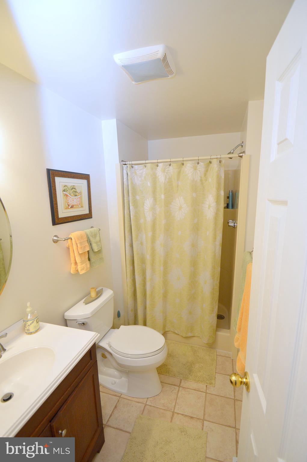 671 Razorback Ridge Road Great Cacapon, WV 25422 - Photo 10 of 35 Downstairs bathroom.