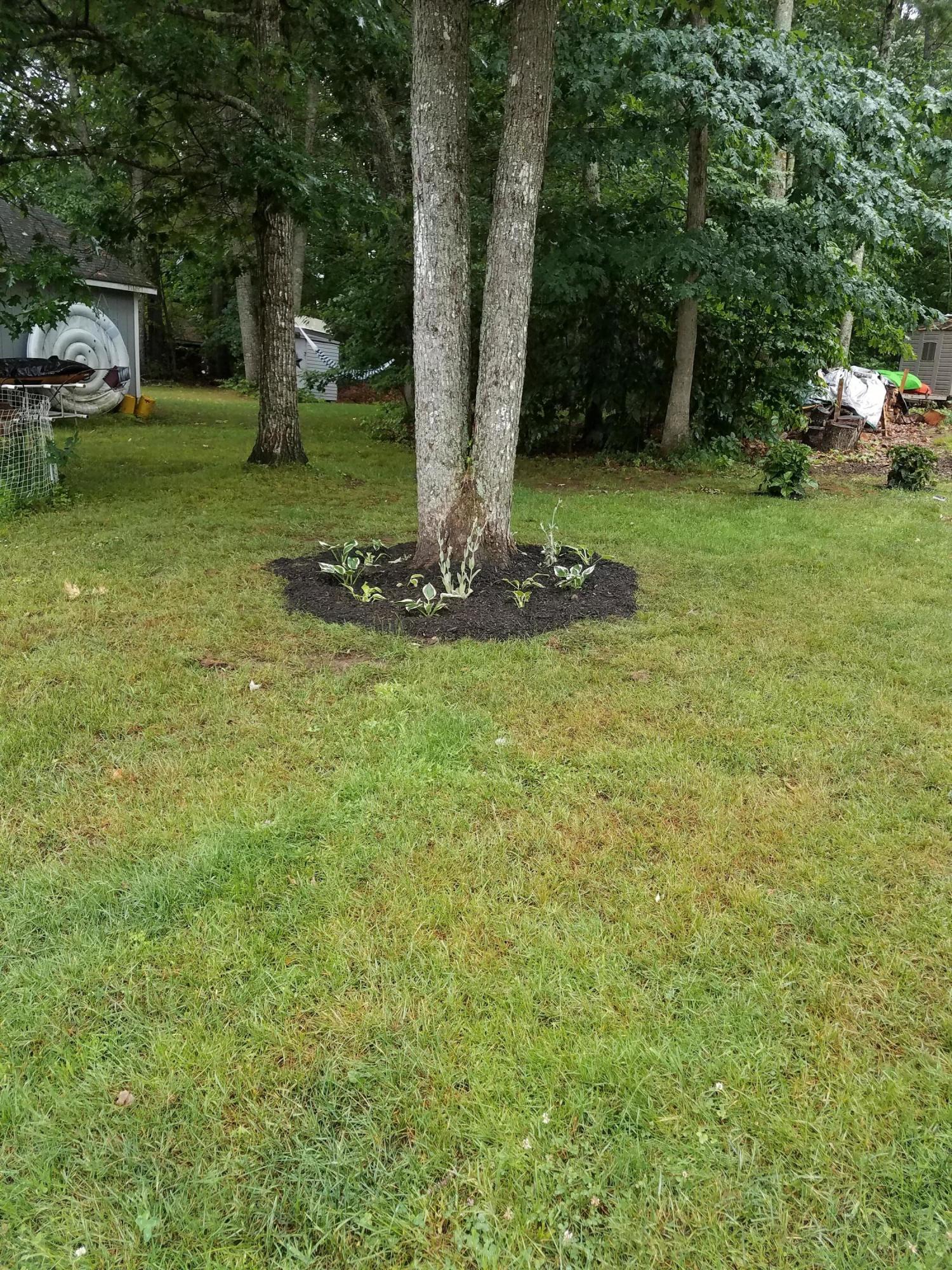 84 Loop Road Acton, ME 04001 - Photo 37 of 45 35 loop