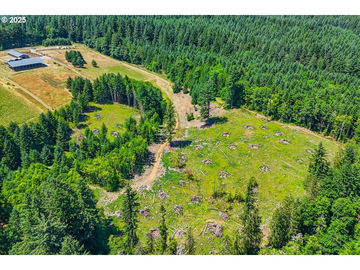 16218 Northwest Mason Hill Road North Plains, OR 97133 - Photo 3 of 38