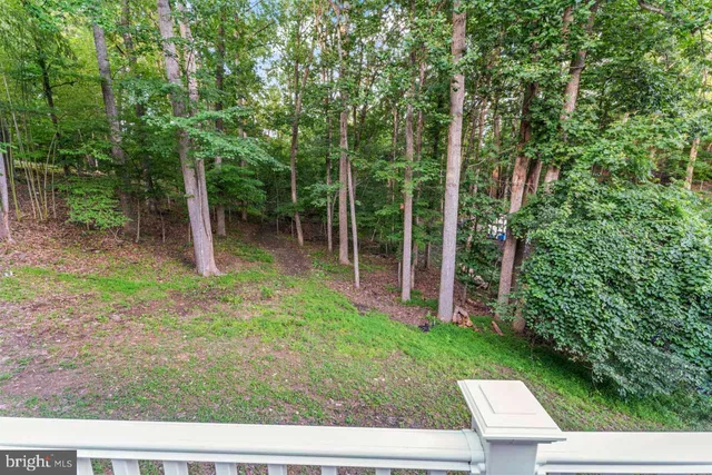 a view of backyard with green space