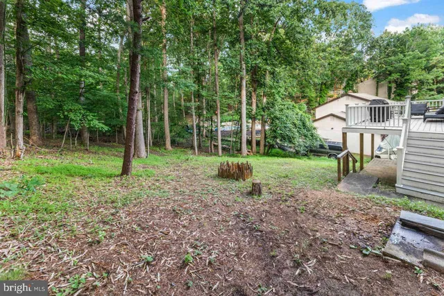 a view of a house with a backyard and a tree