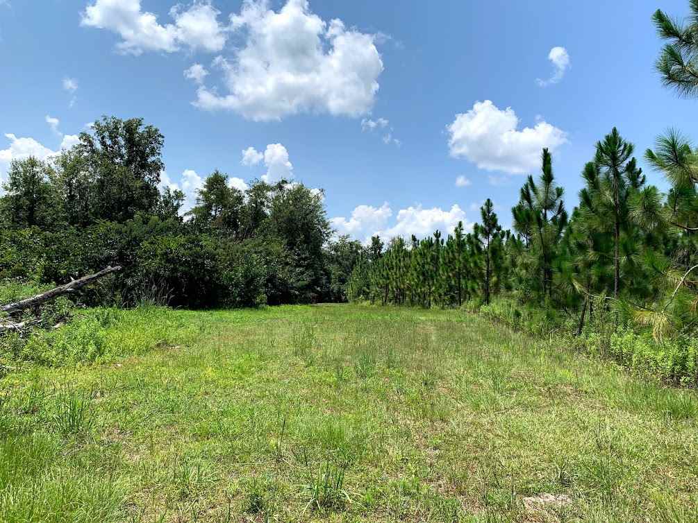 855 Faircloth Road Whigham, GA 39897 - Photo 1 of 36