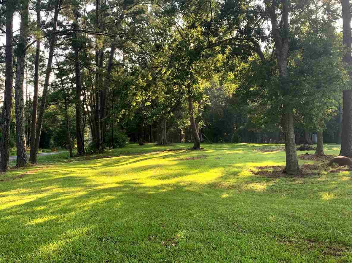 855 Faircloth Road Whigham, GA 39897 - Photo 13 of 36