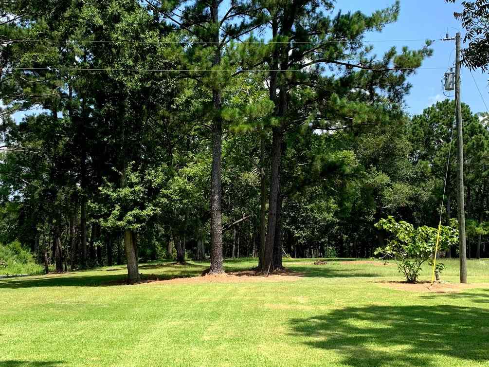 855 Faircloth Road Whigham, GA 39897 - Photo 17 of 36