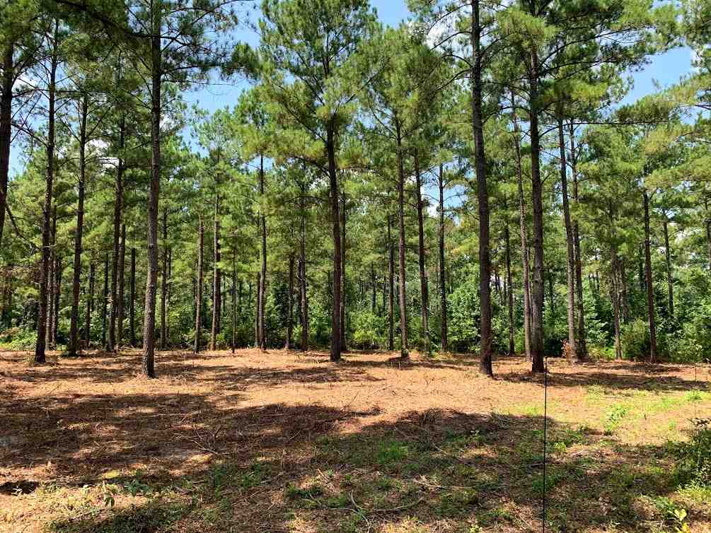 855 Faircloth Road Whigham, GA 39897 - Photo 3 of 36