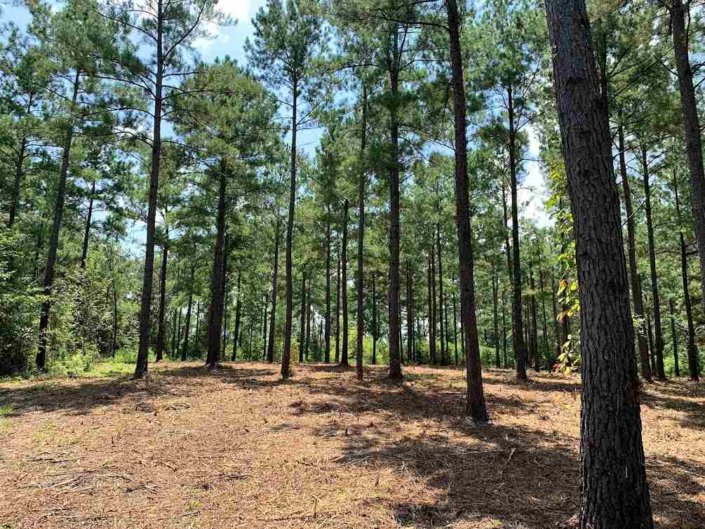 855 Faircloth Road Whigham, GA 39897 - Photo 4 of 36