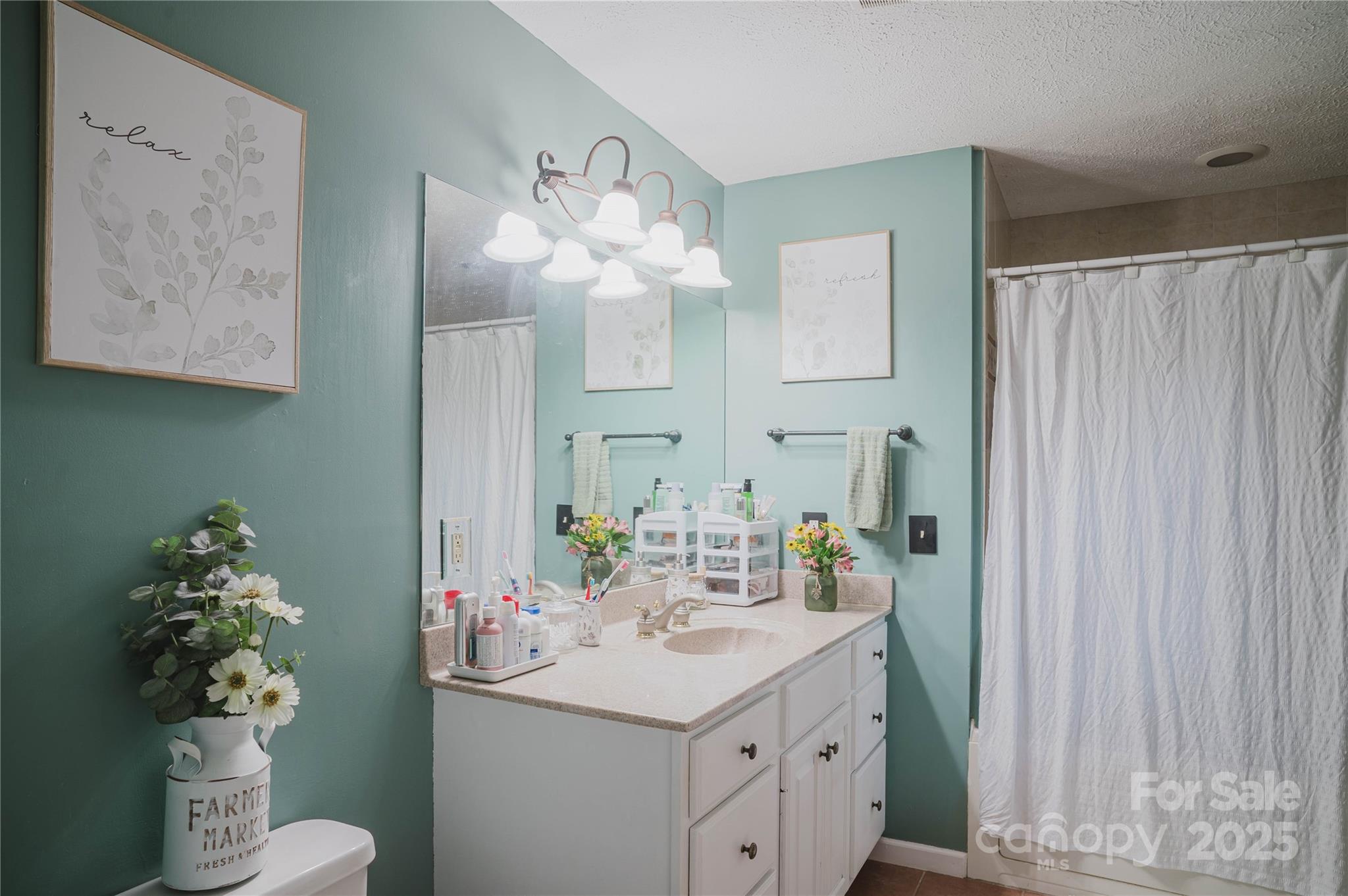 20 Ridgeway Drive Flat Rock, NC 28731 - Photo 35 of 47 a bathroom with a sink a mirror and a toilet