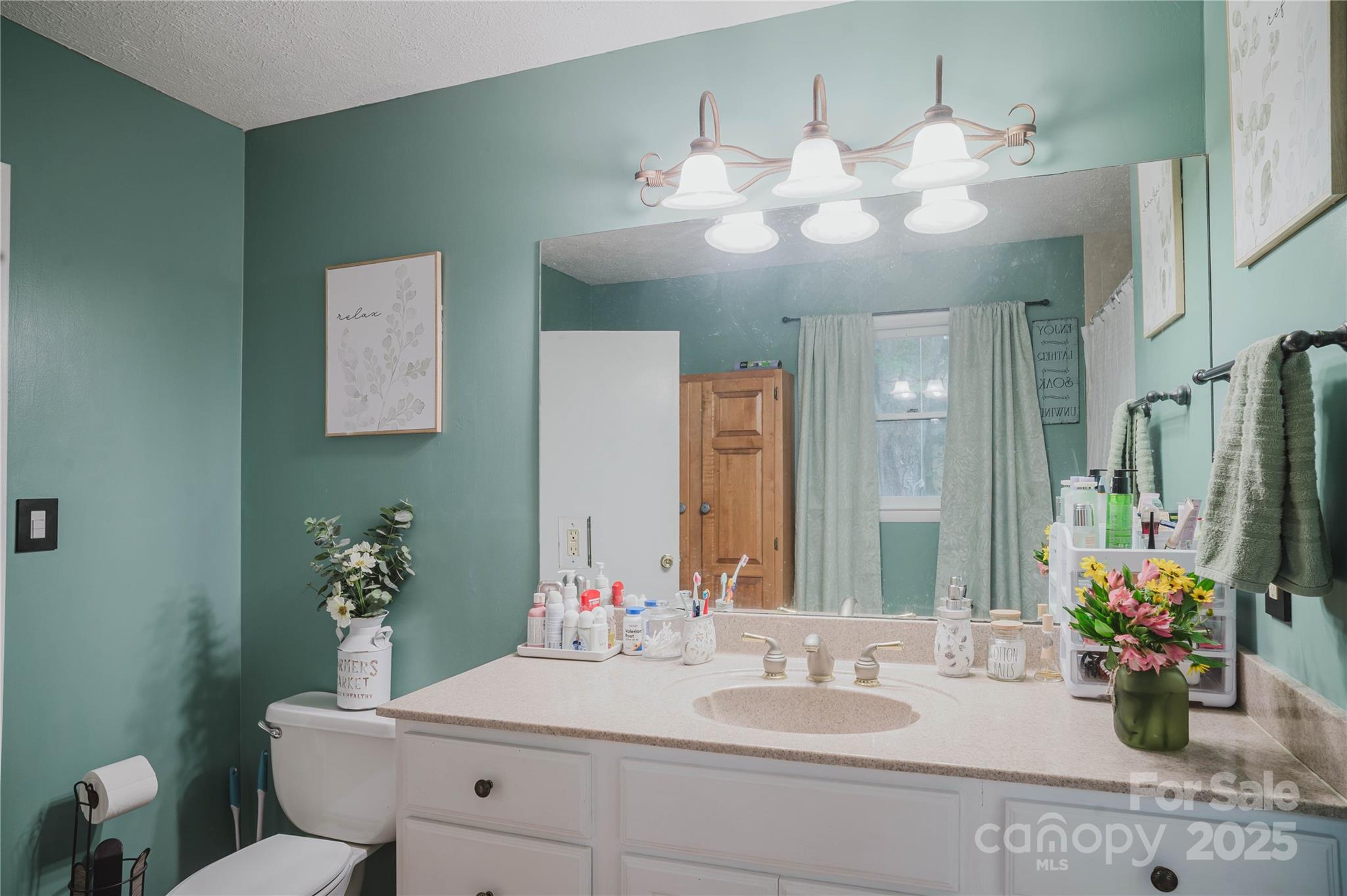 20 Ridgeway Drive Flat Rock, NC 28731 - Photo 36 of 47 a bathroom with a sink mirror and vanity