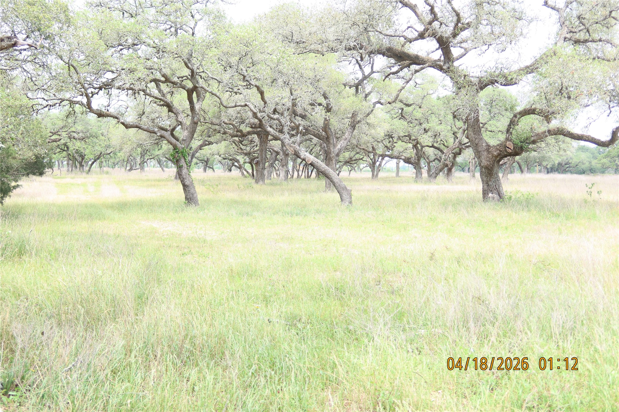 Na Railhead Road Columbus, TX 78934 - Photo 3 of 18