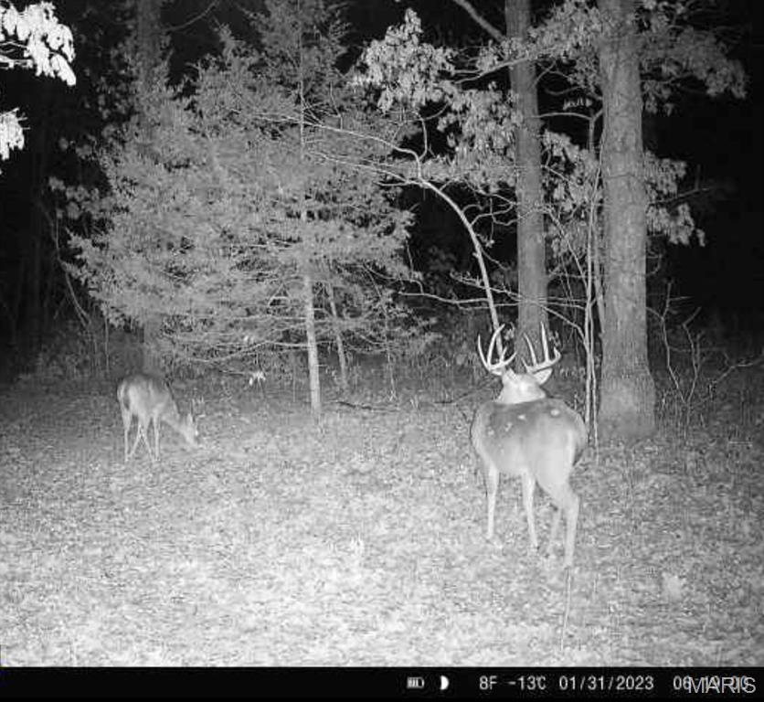 177-ac Tree Farm Road New Florence, MO 63363 - Photo 31 of 31