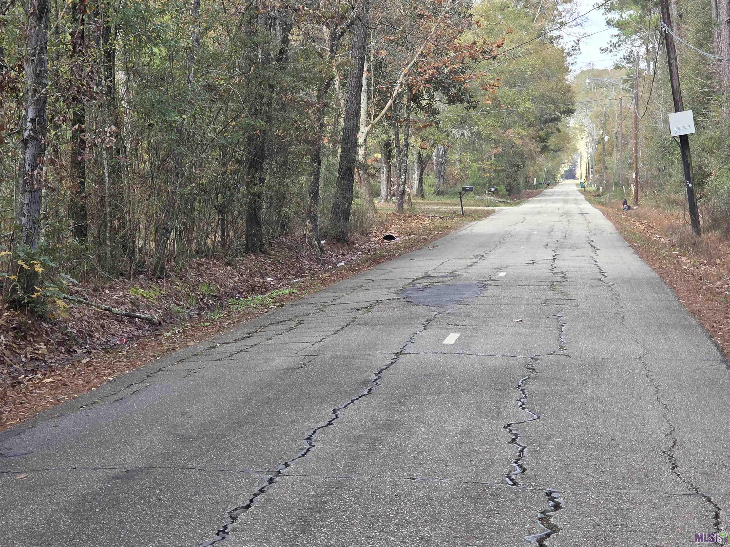 45371 Chemekette Road Robert, LA 70455 - Photo 2 of 5