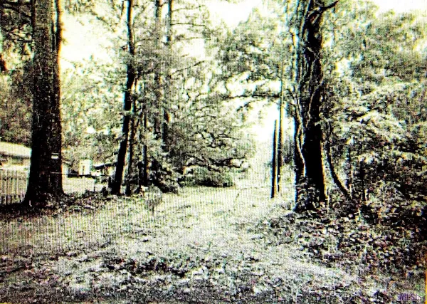 $90,000 | Tbd Chemekette Road, Robert, LA 70455