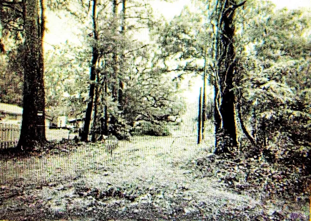 $90,000 | 45371 Chemekette Road, Robert, LA 70455