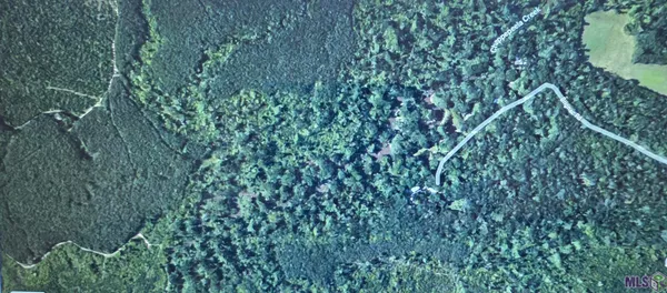 $90,000 | Tbd Chemekette Road, Robert, LA 70455