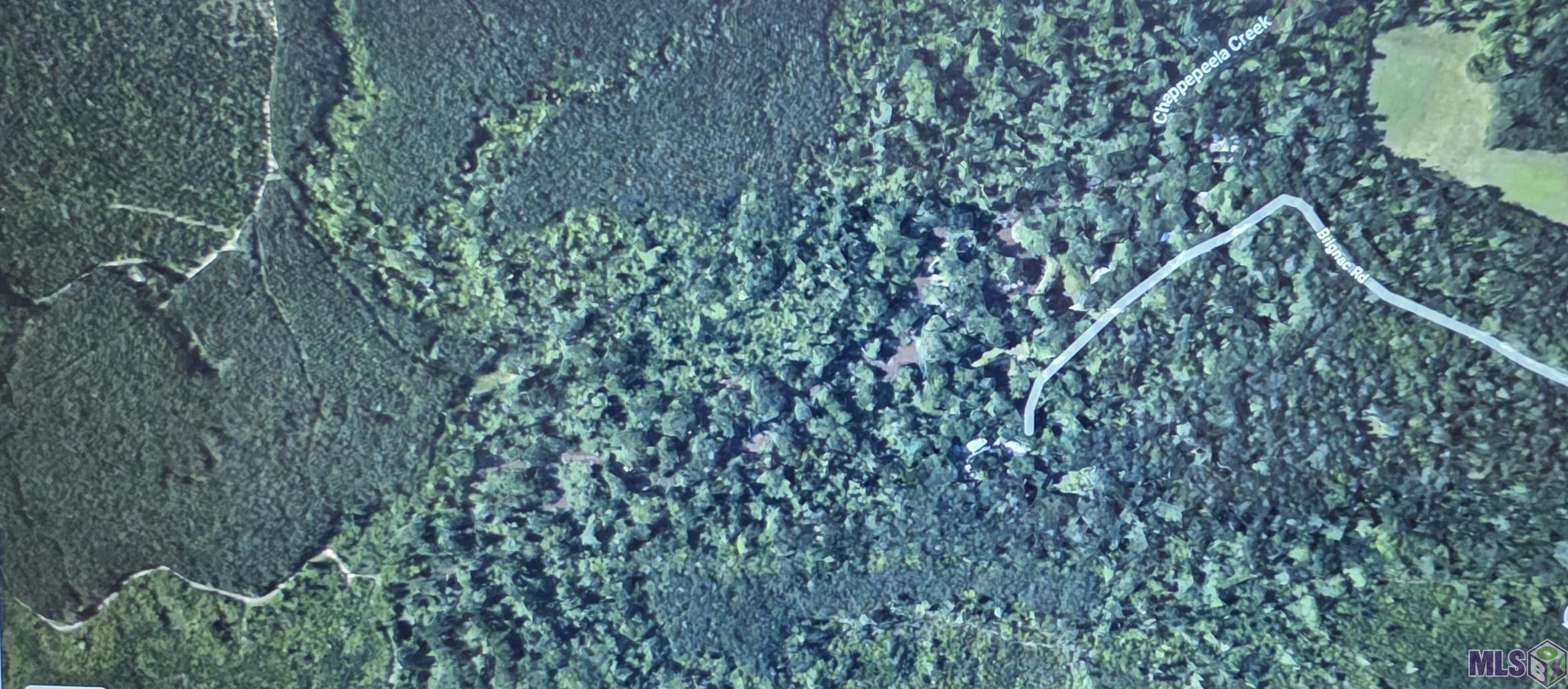 45371 Chemekette Road Robert, LA 70455 - Photo 5 of 5