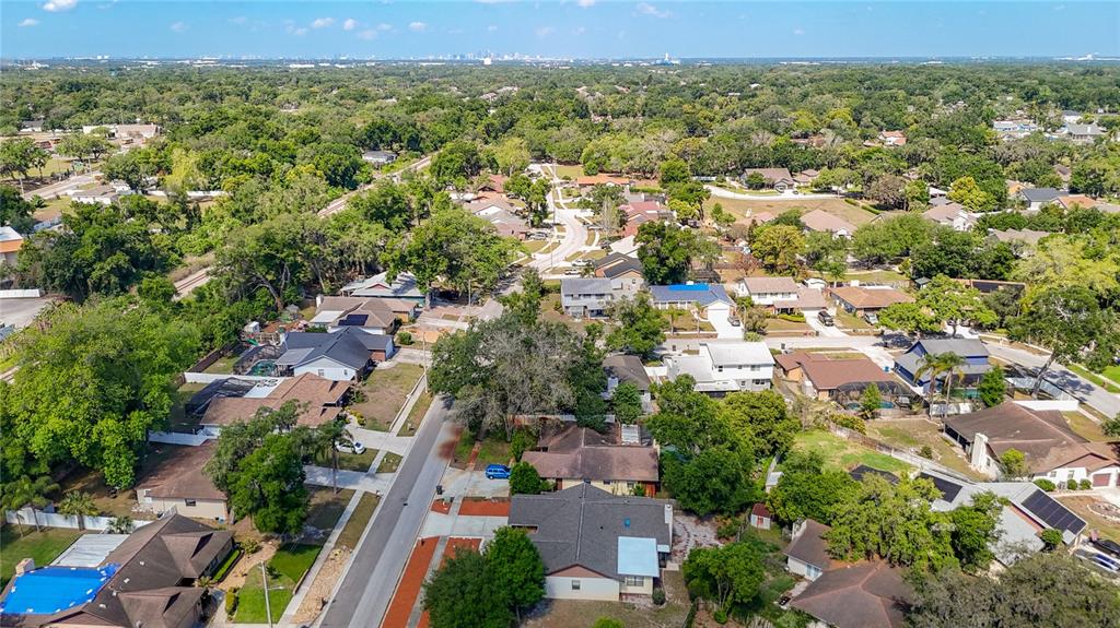 1004 Mook Street Brandon, FL 33510 - Photo 46 of 47